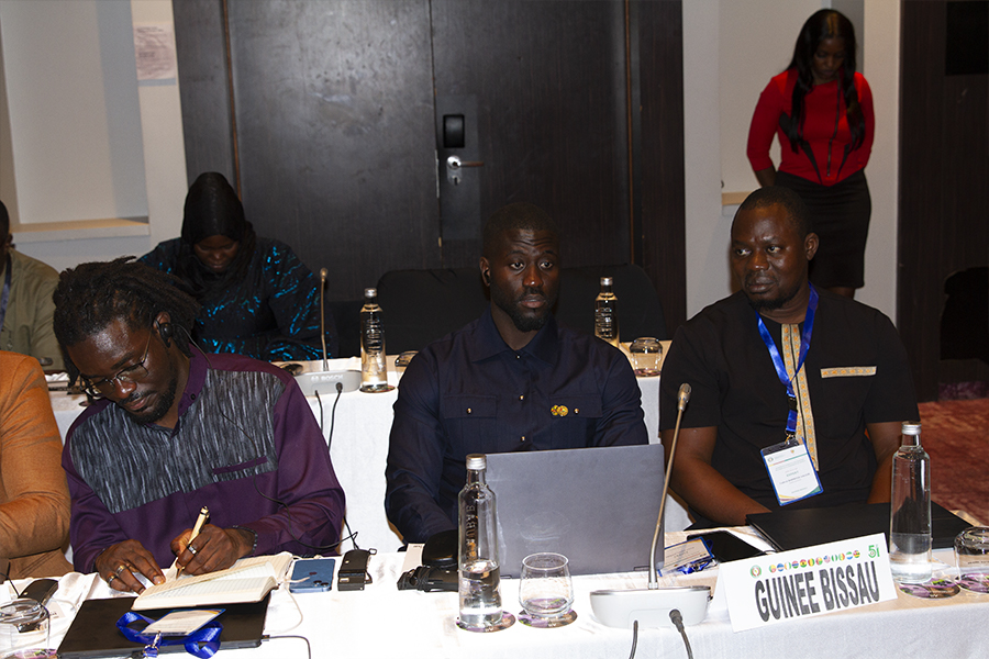 ECOWAS experts are finalising the consolidation of regional policies on youth, sport and volunteering