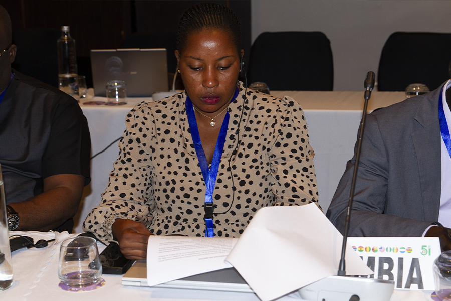 ECOWAS experts are finalising the consolidation of regional policies on youth, sport and volunteering