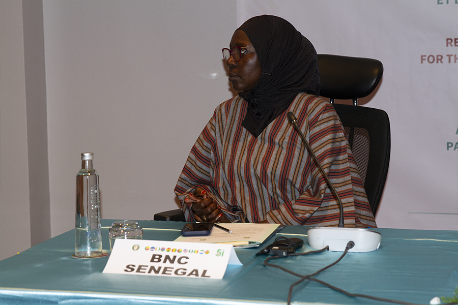 Réunion des experts sur la jeunesse, sport et volontariat, Dakar 2026 partie1