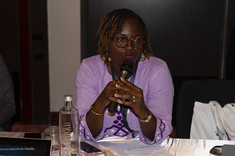 Réunion des experts sur la jeunesse, sport et volontariat, Dakar 2026 partie 2