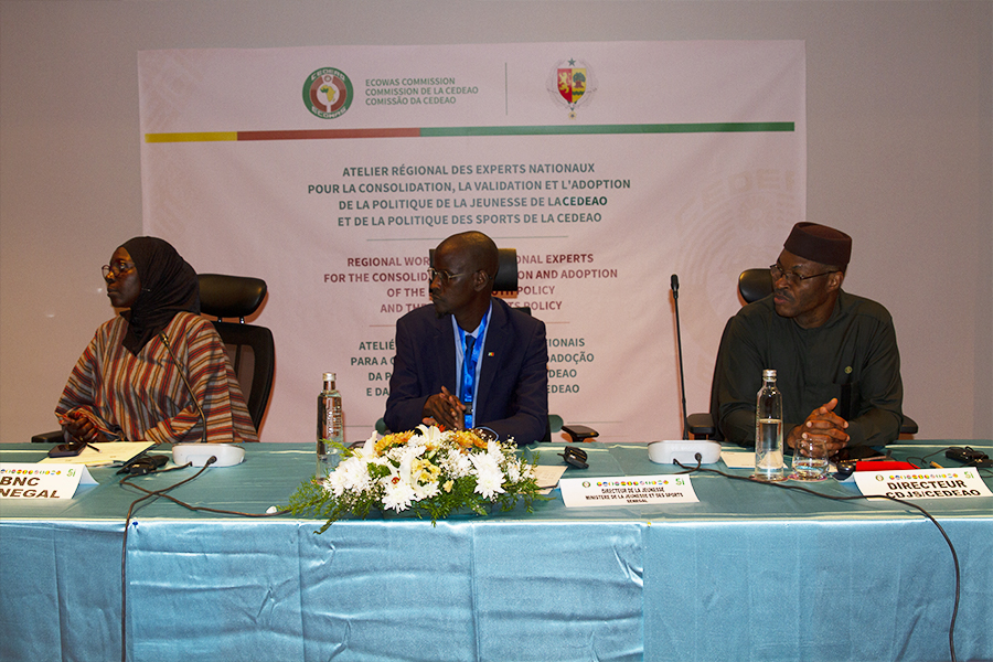 Réunion des experts sur la jeunesse, sport et volontariat, Dakar 2026 partie1