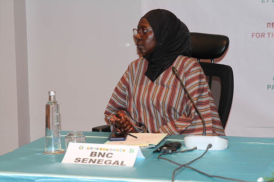 Réunion des experts sur la jeunesse, sport et volontariat, Dakar 2026 partie1