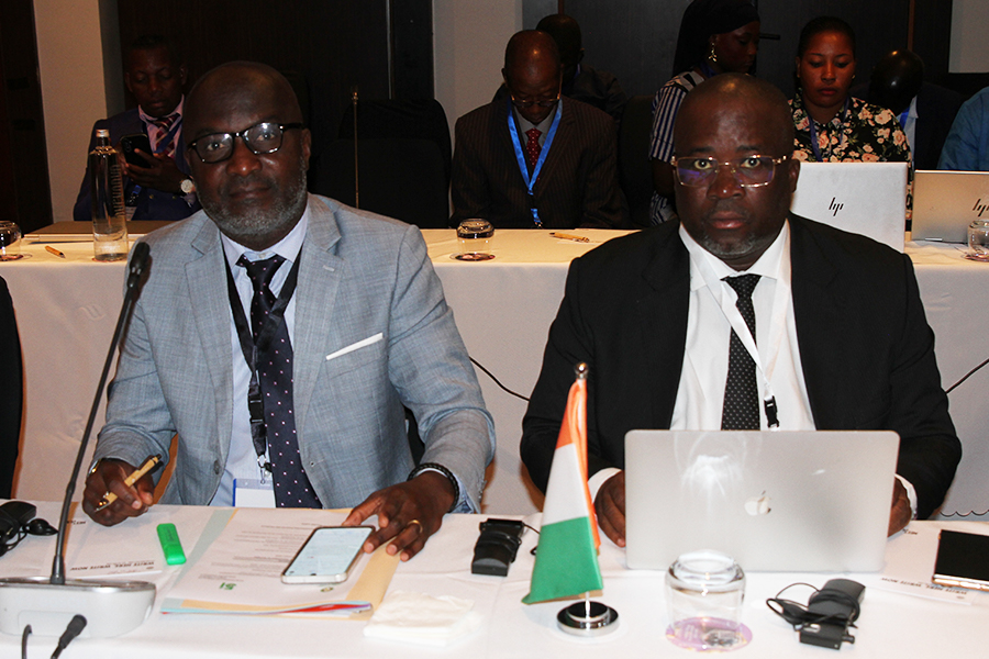 Meeting of Ministers responsible for Youth and Sport in the ECOWAS region, Part 1